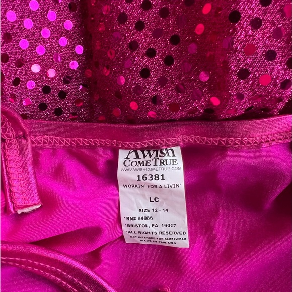 A Wish Come True 16381 Workn’ for a Livin’ Girl’s Large (12-14) Dance Costume - Picture 7 of 7